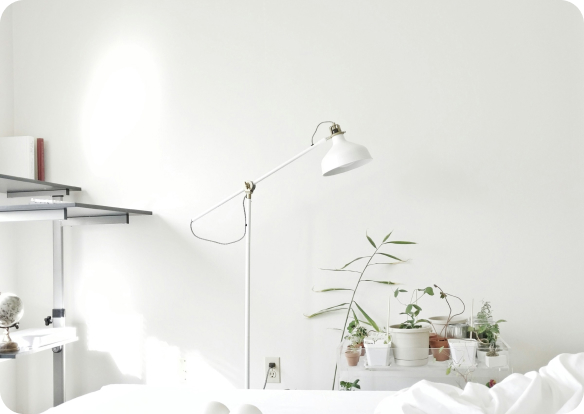 White is always in fashion